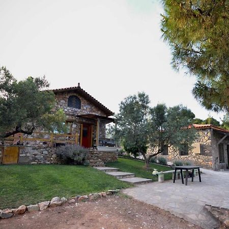 Kladi House Renovated 2023 Βίλα Νικήτη Εξωτερικό φωτογραφία